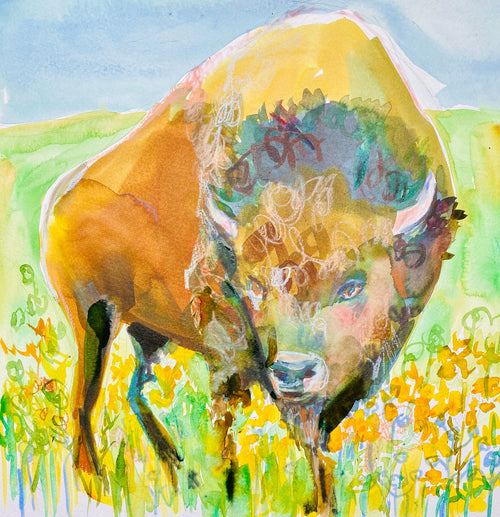Meadow Buffalo Print