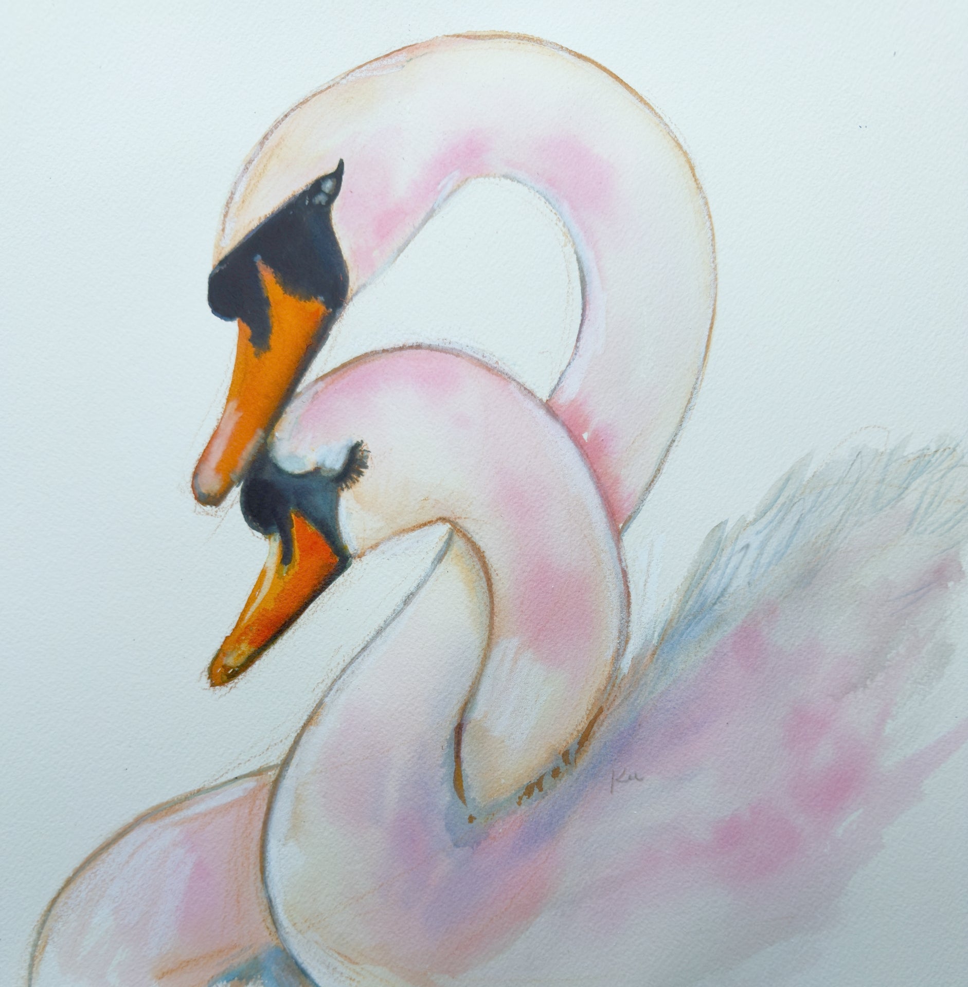 For Life Swans White Print