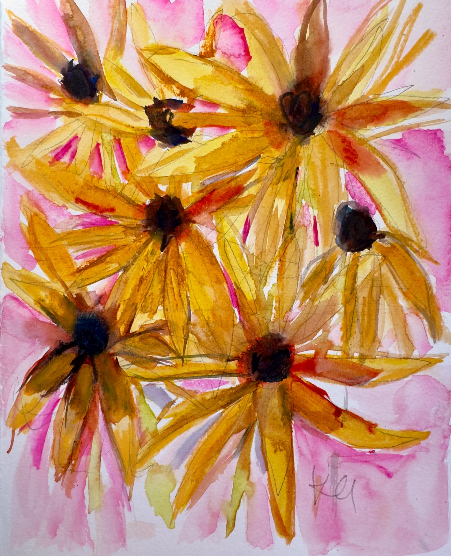 Fall Daisies Print